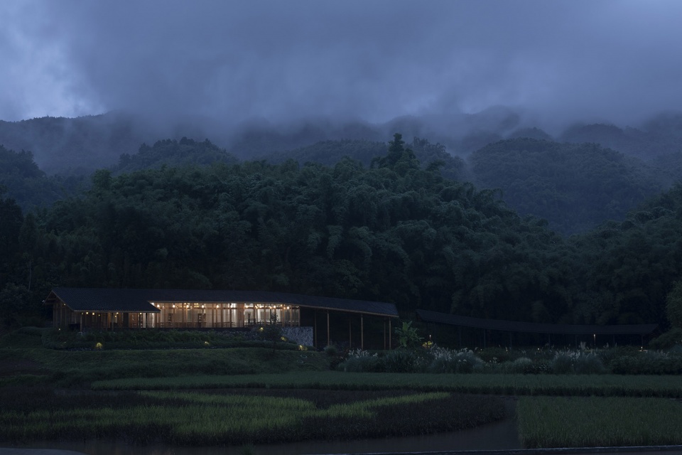 bamboo branch academy china by archermit