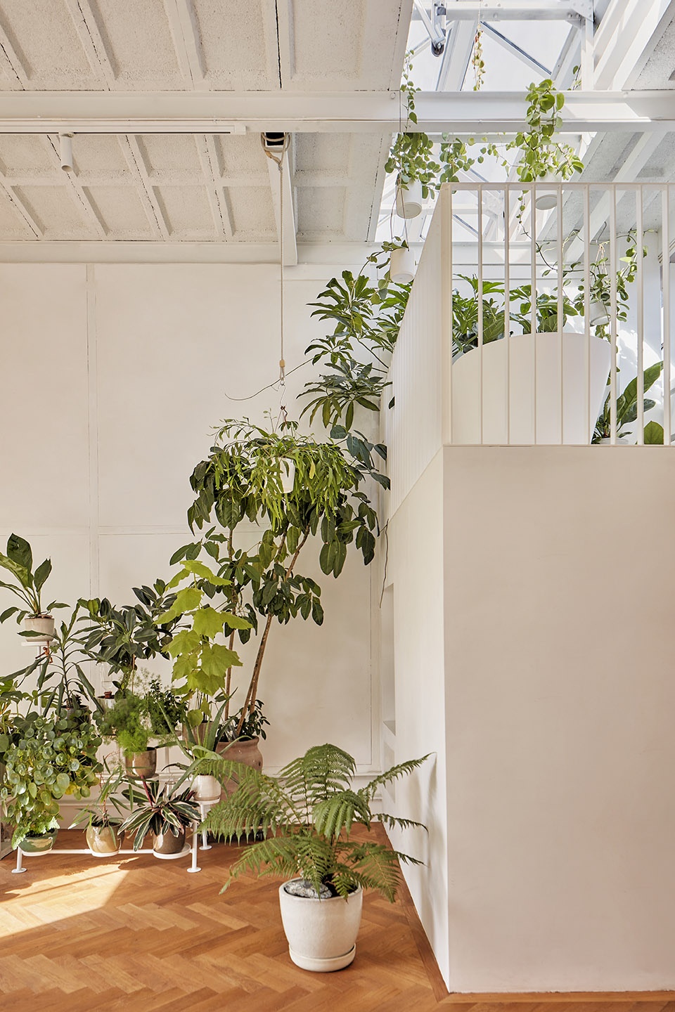 ketelhuis studio modijefsky