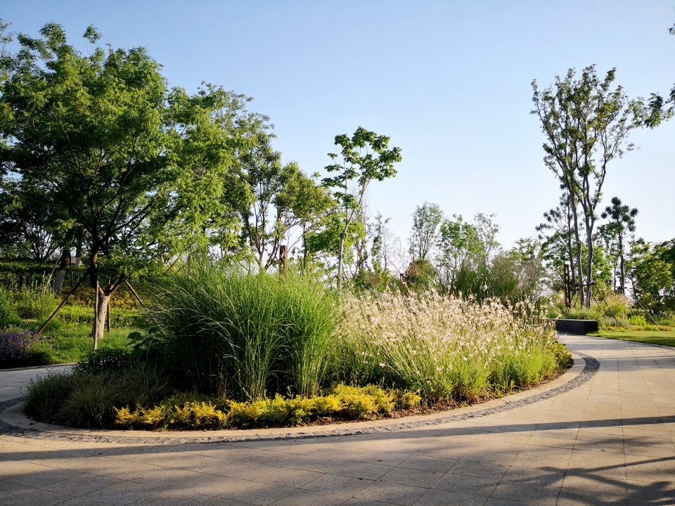singapore nanjing eco hi tech island waterfront scenic belt china by palm design