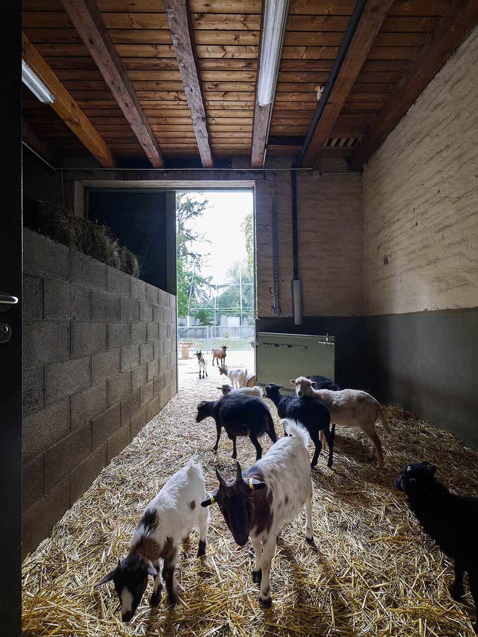 Strasbourg zoo pedagogical farm new visitor center FREAKS