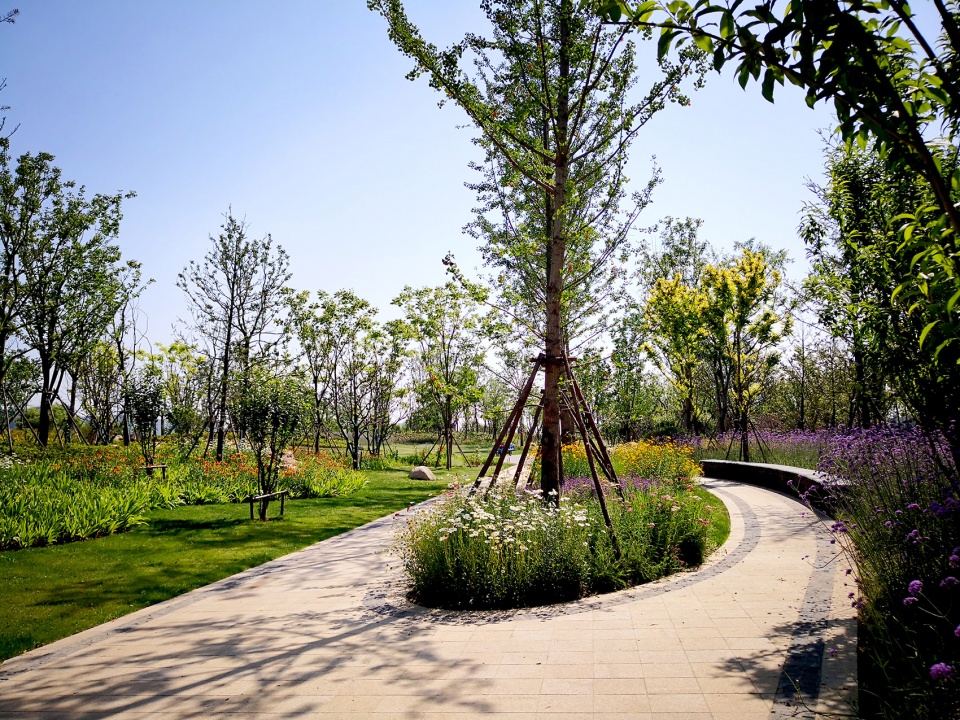 singapore nanjing eco hi tech island waterfront scenic belt china by palm design