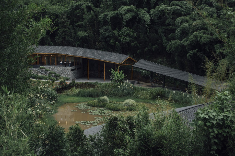 bamboo branch academy china by archermit