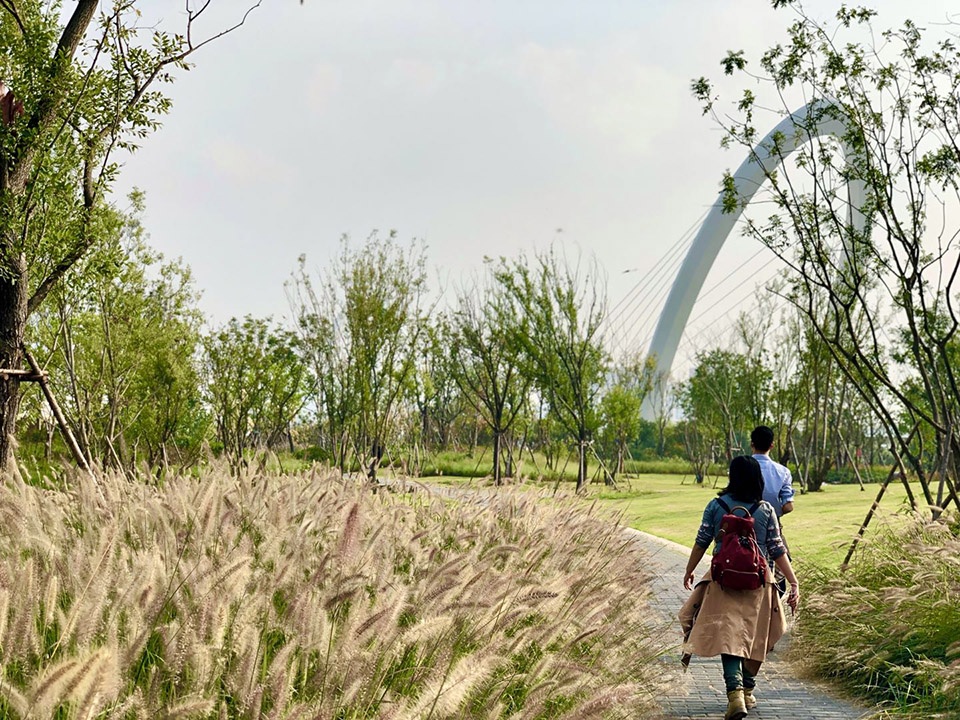 singapore nanjing eco hi tech island waterfront scenic belt china by palm design