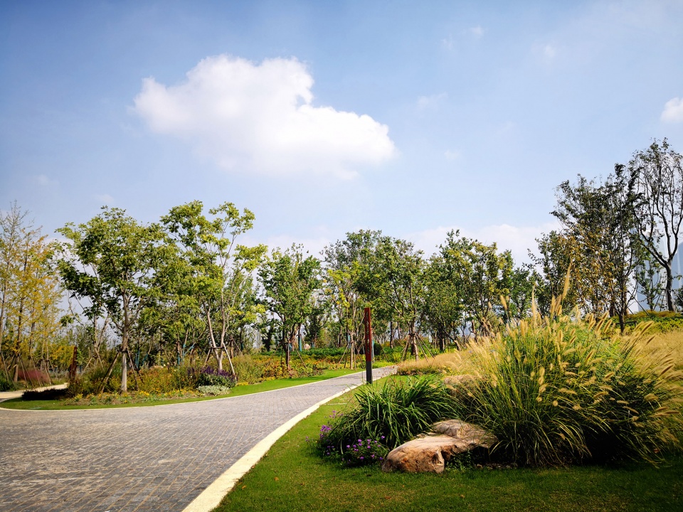 singapore nanjing eco hi tech island waterfront scenic belt china by palm design