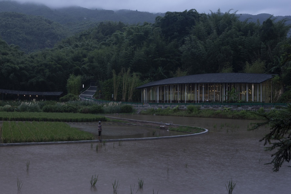 bamboo branch academy china by archermit