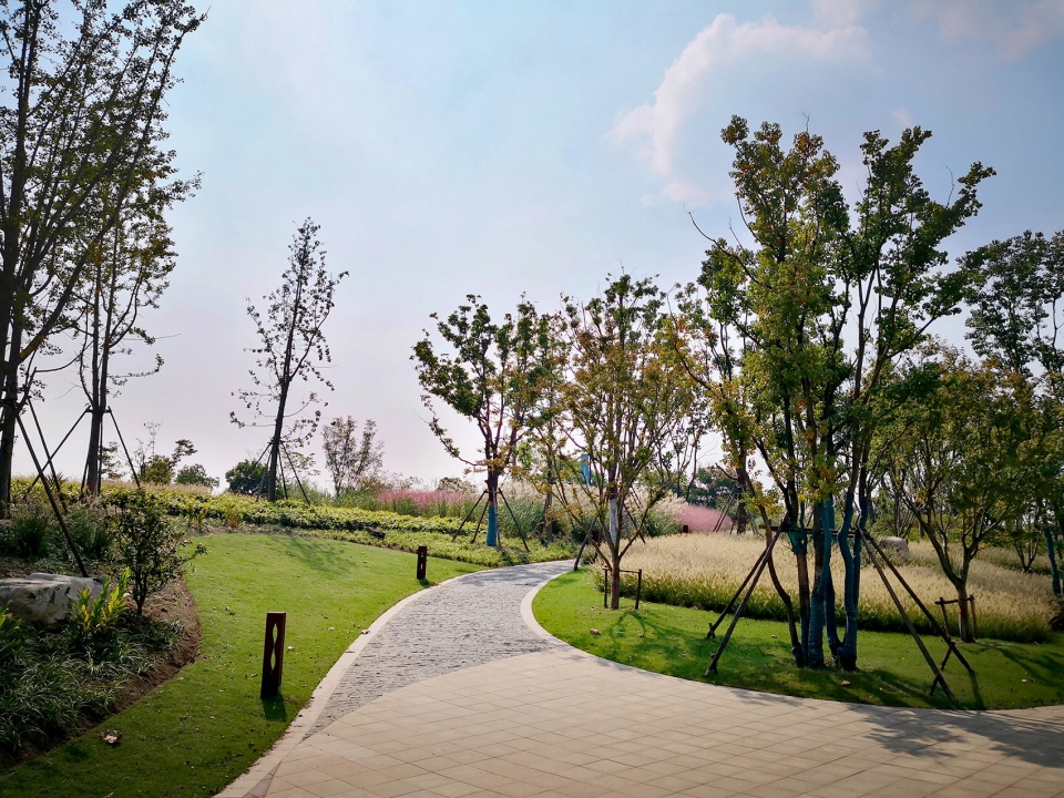 singapore nanjing eco hi tech island waterfront scenic belt china by palm design