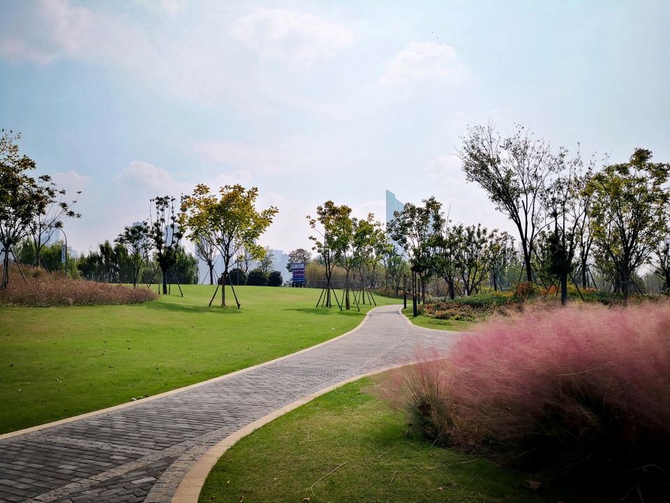 singapore nanjing eco hi tech island waterfront scenic belt china by palm design