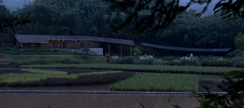 bamboo branch academy china by archermit