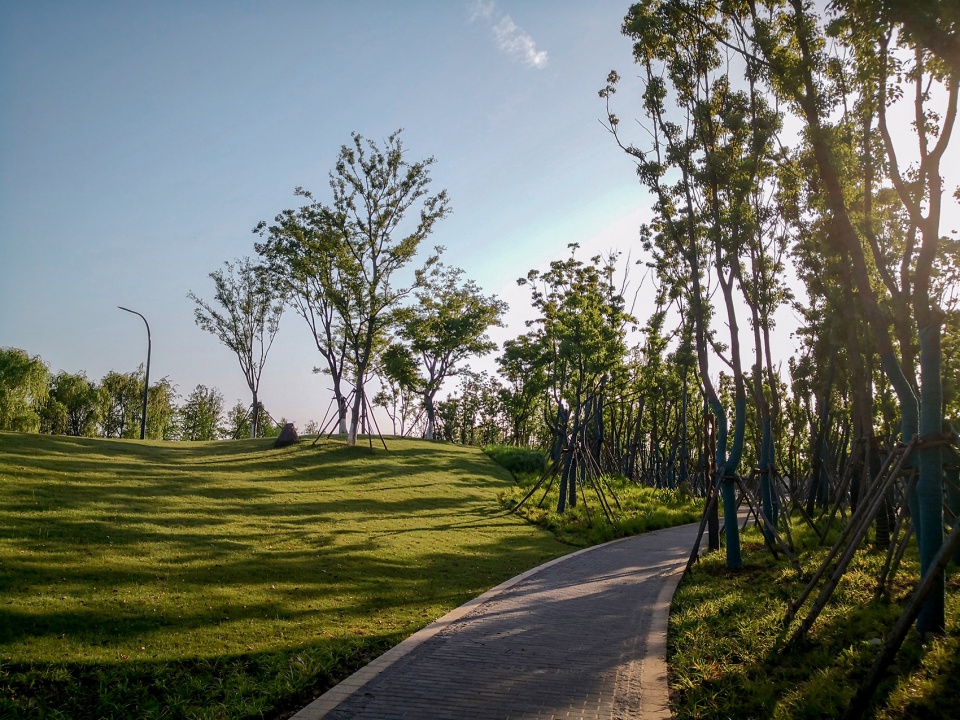 singapore nanjing eco hi tech island waterfront scenic belt china by palm design