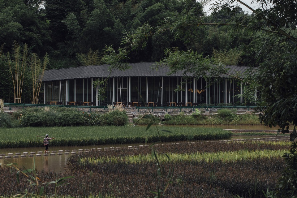 bamboo branch academy china by archermit
