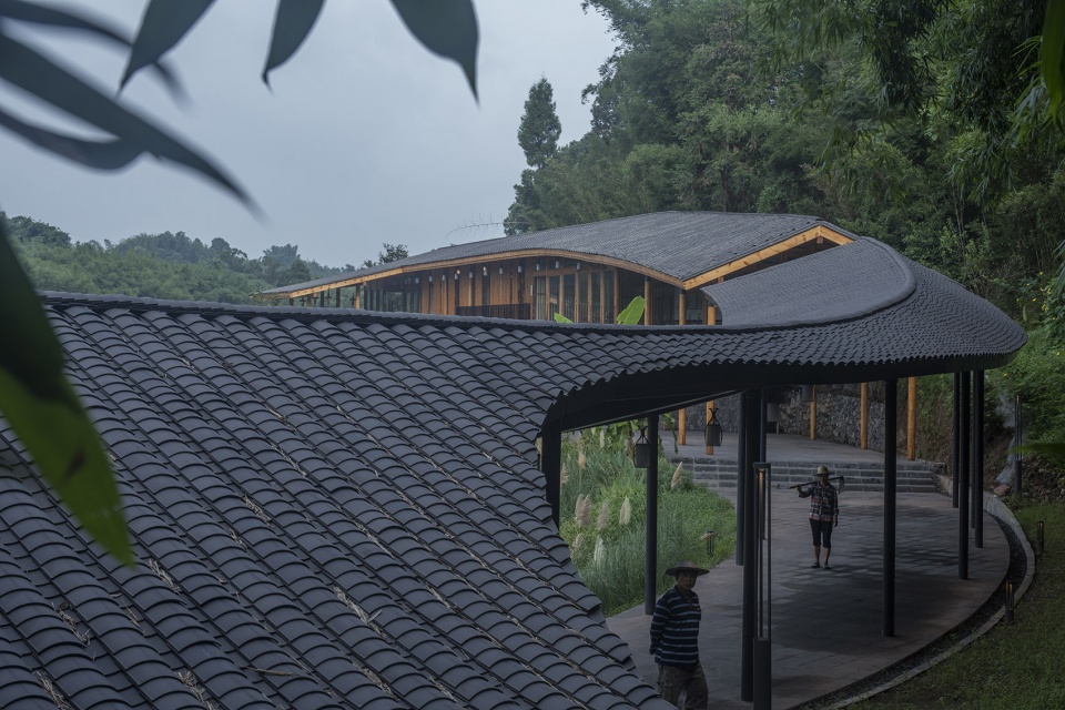 bamboo branch academy china by archermit