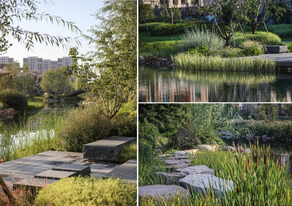 ecological restoration landscape design of xichuan china by horizon atmosphere landscape