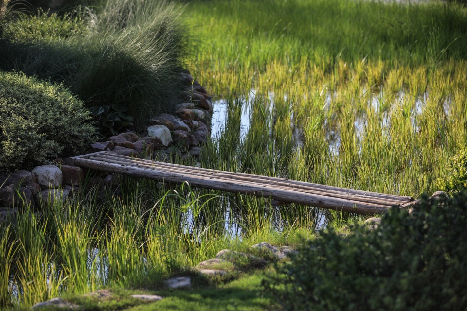 ecological restoration landscape design of xichuan china by horizon atmosphere landscape