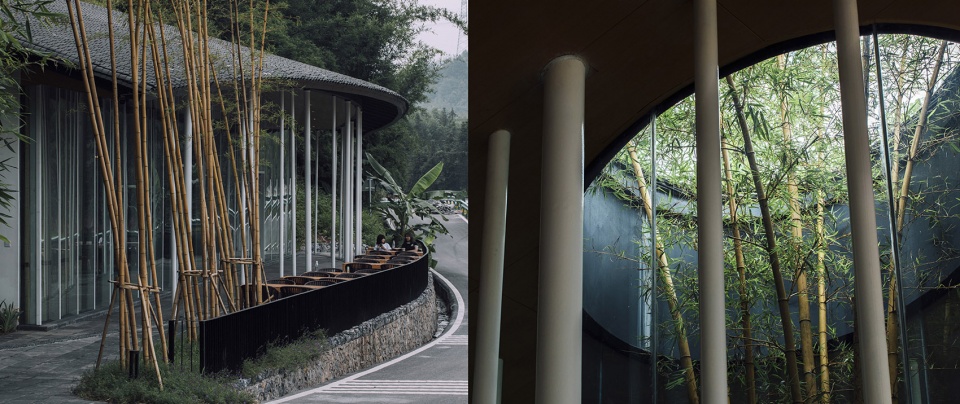 bamboo branch academy china by archermit