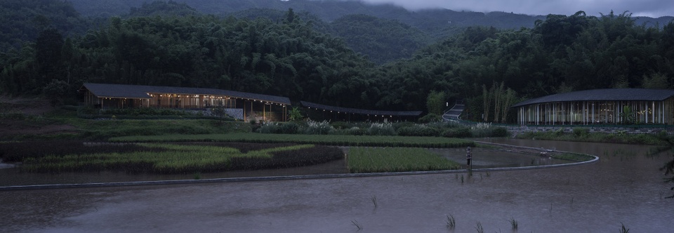 bamboo branch academy china by archermit