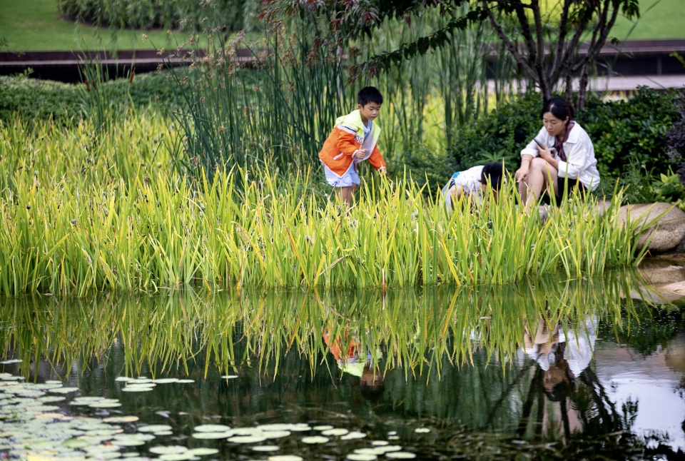 ecological restoration landscape design of xichuan china by horizon atmosphere landscape
