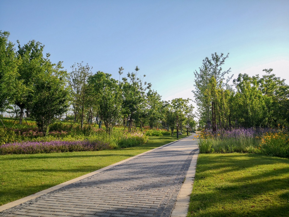 singapore nanjing eco hi tech island waterfront scenic belt china by palm design