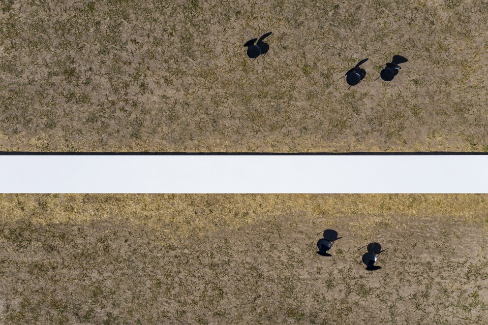 The Line REgroup