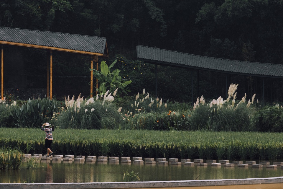 bamboo branch academy china by archermit