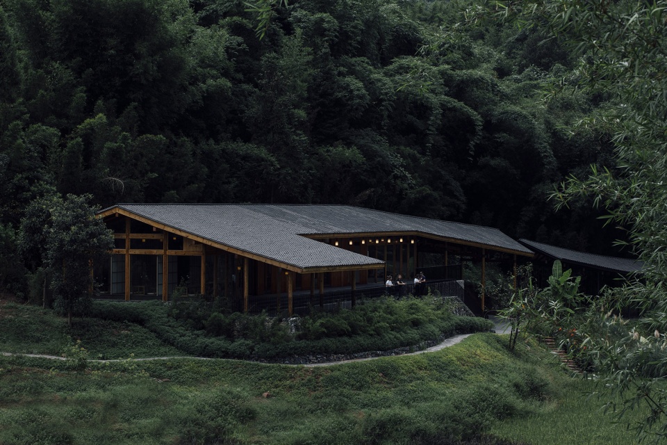bamboo branch academy china by archermit