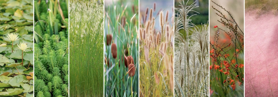 ecological restoration landscape design of xichuan china by horizon atmosphere landscape