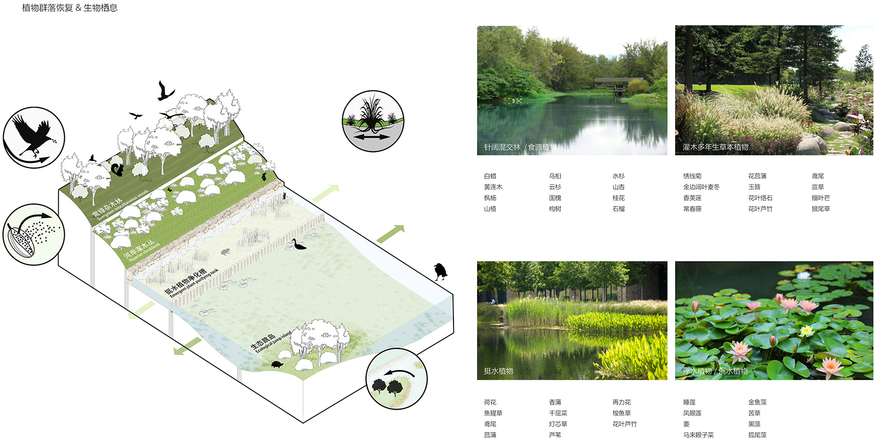ecological restoration landscape design of xichuan china by horizon atmosphere landscape
