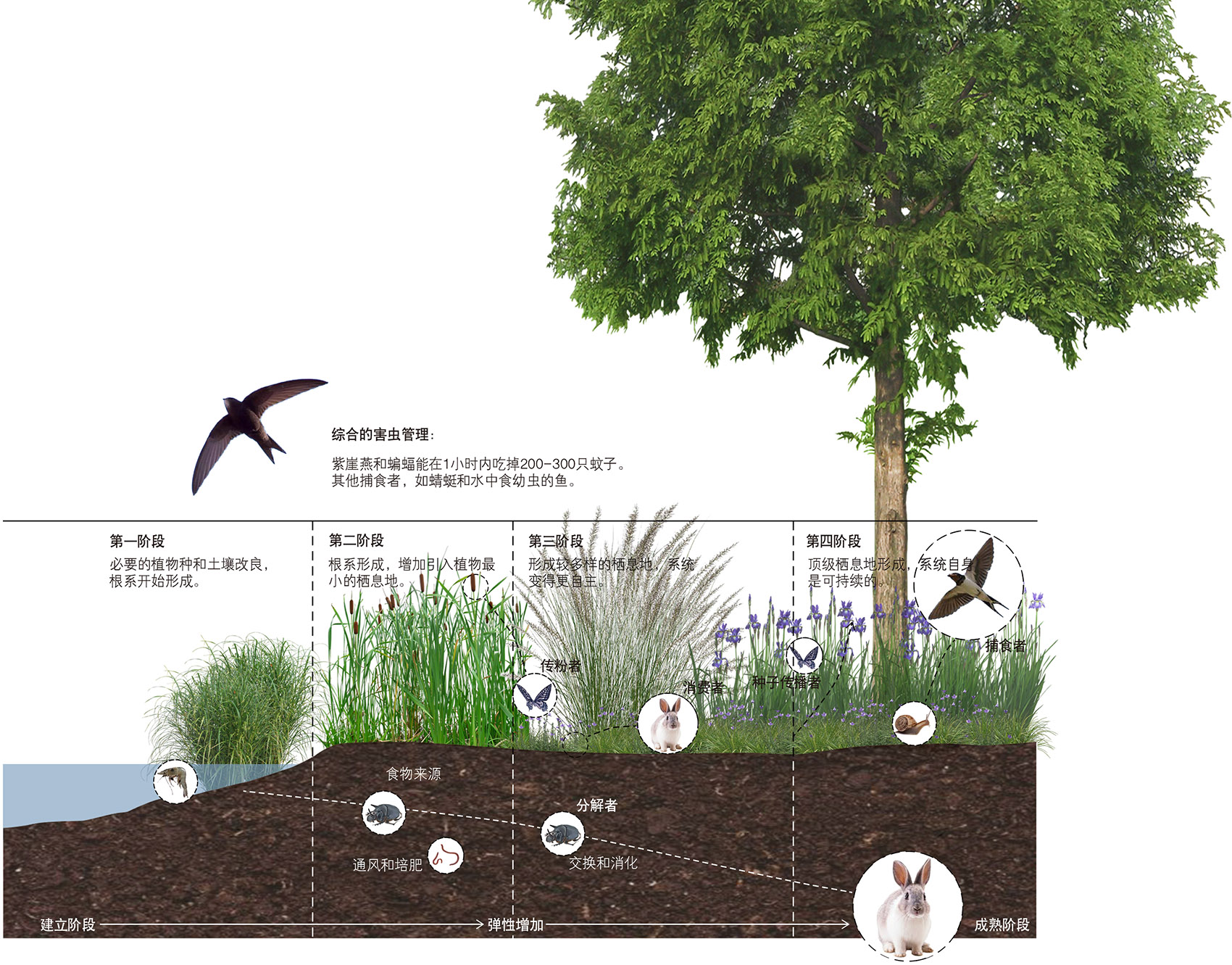 ecological restoration landscape design of xichuan china by horizon atmosphere landscape