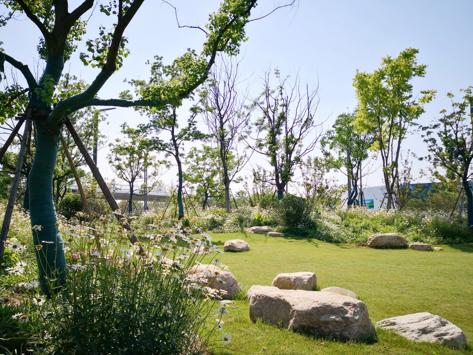 singapore nanjing eco hi tech island waterfront scenic belt china by palm design