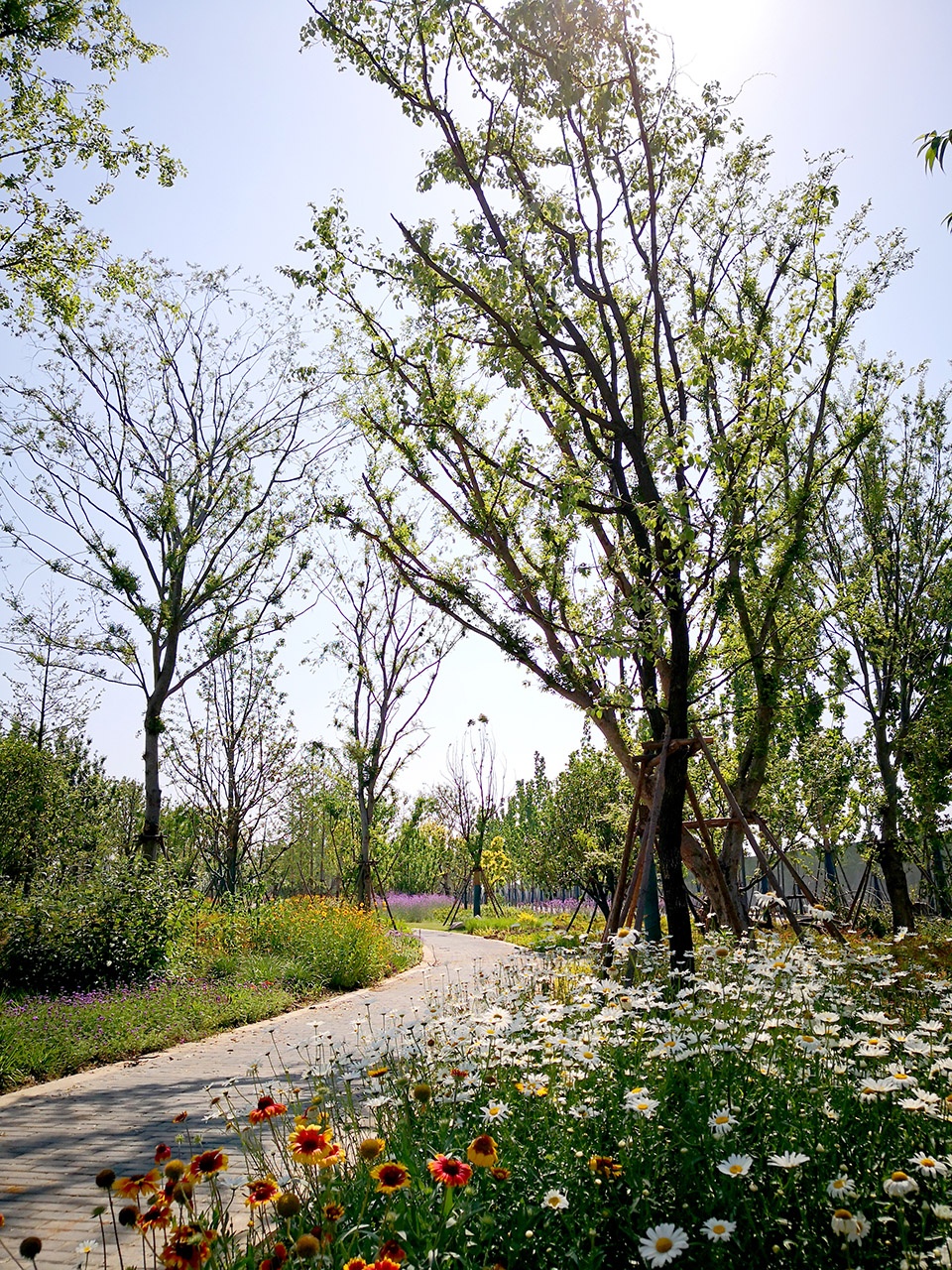 singapore nanjing eco hi tech island waterfront scenic belt china by palm design