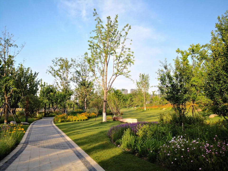 singapore nanjing eco hi tech island waterfront scenic belt china by palm design