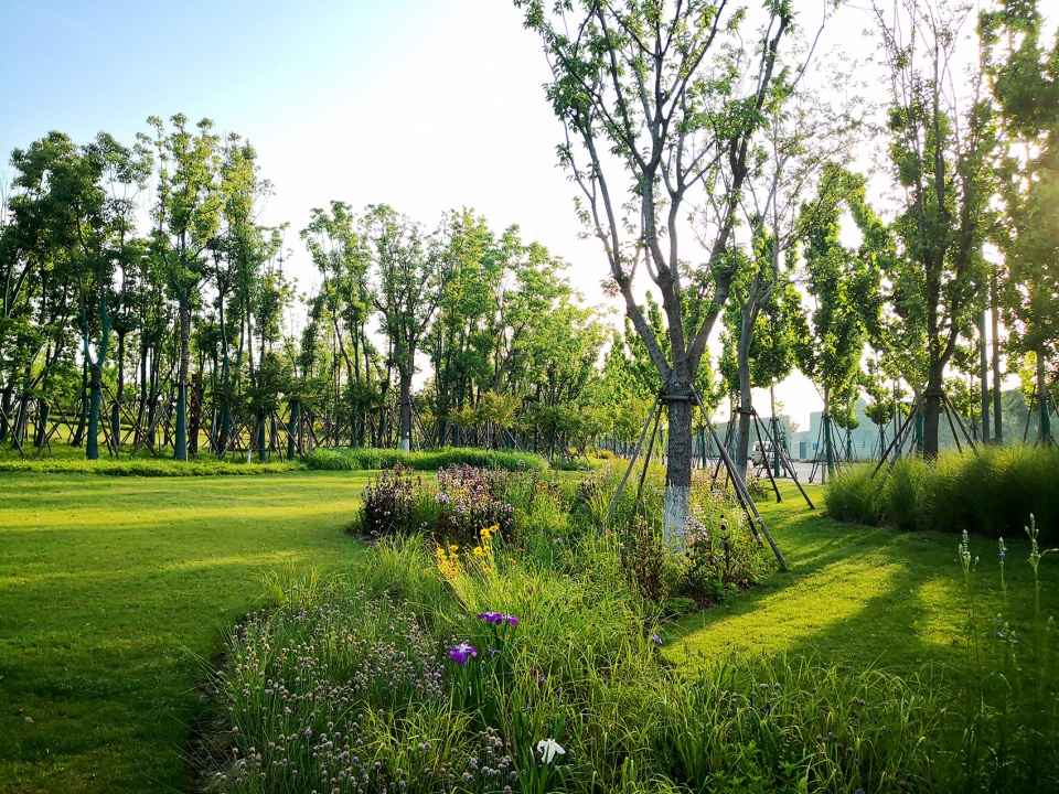 新加坡南京生态科技岛南京棕榈设计集团