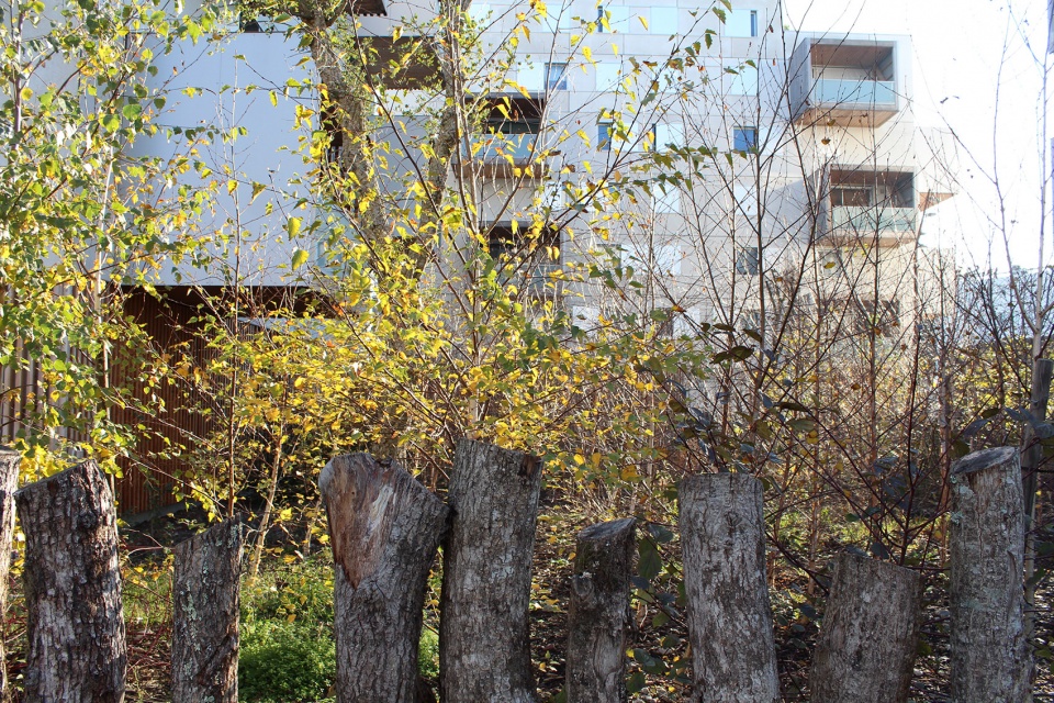 square maimat muret by emma blanc paysage