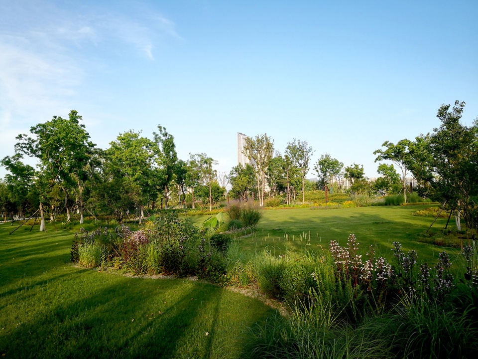 singapore nanjing eco hi tech island waterfront scenic belt china by palm design