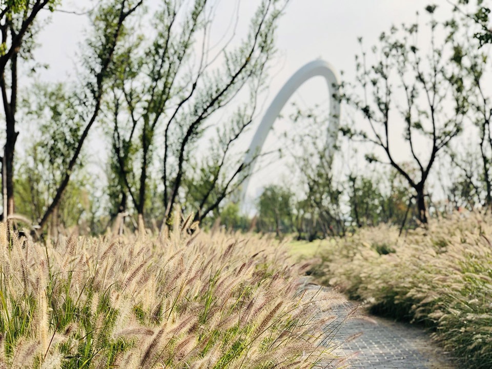 singapore nanjing eco hi tech island waterfront scenic belt china by palm design