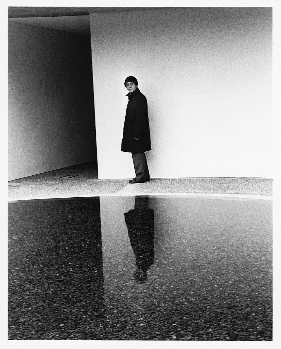gooood book tadao ando