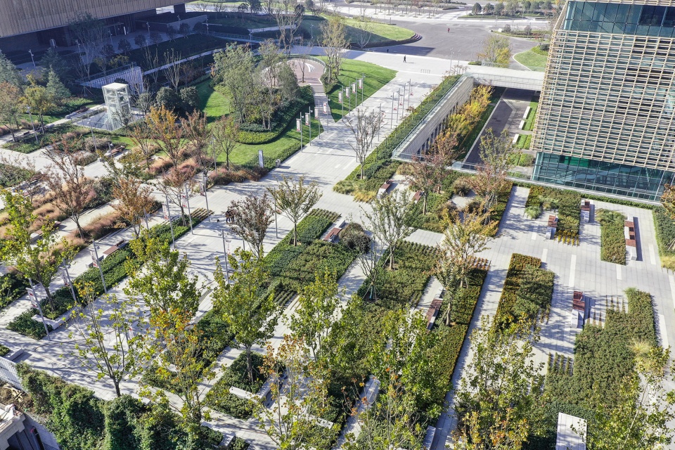 Landscape of Jining Cultural Center Phase I LDG