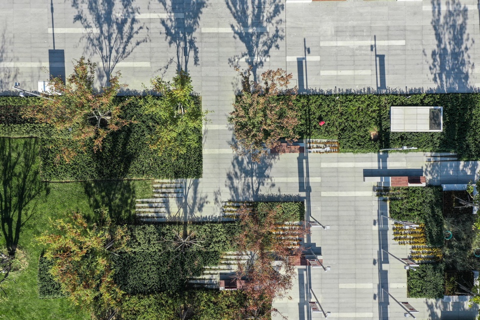 Landscape of Jining Cultural Center Phase I LDG