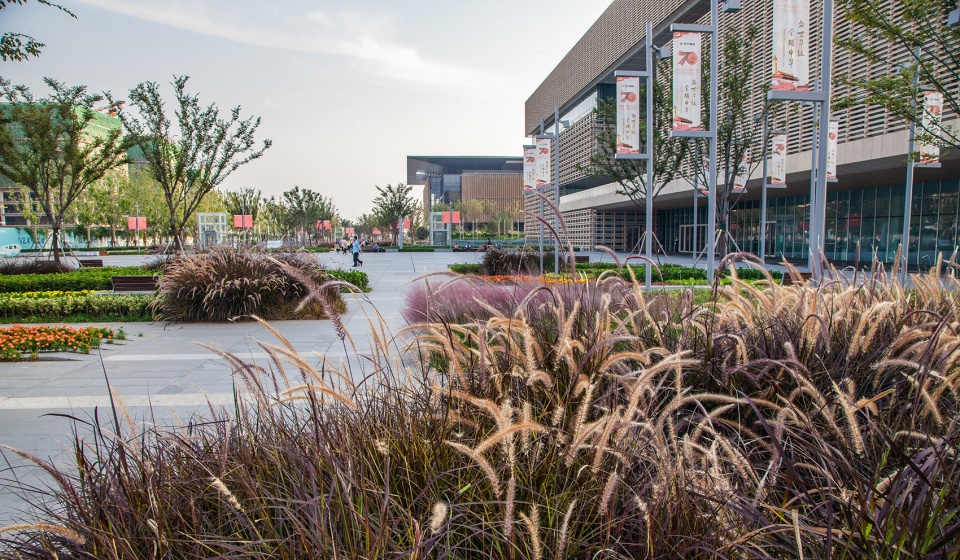 Landscape of Jining Cultural Center Phase I LDG