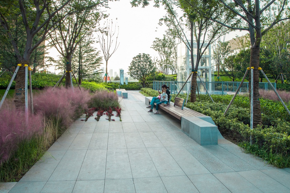 Landscape of Jining Cultural Center Phase I LDG