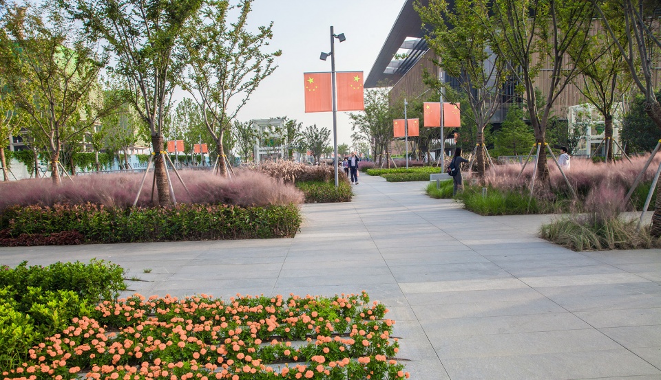 Landscape of Jining Cultural Center Phase I LDG