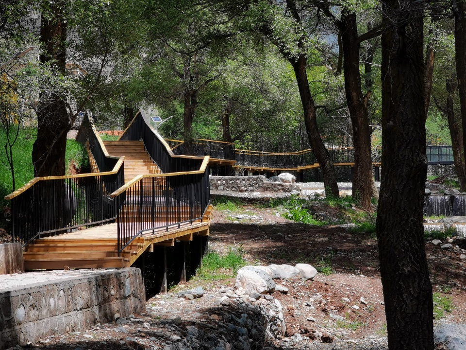 The construction of rural public space in the forest of Populus alba Qianghai by China New Rural Planning and Design