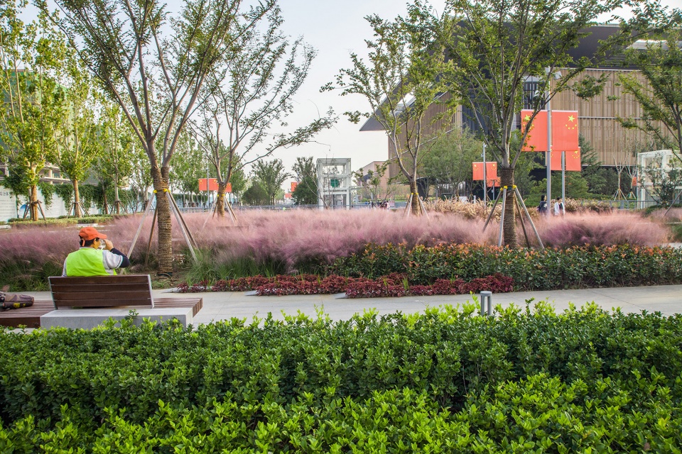 Landscape of Jining Cultural Center Phase I LDG