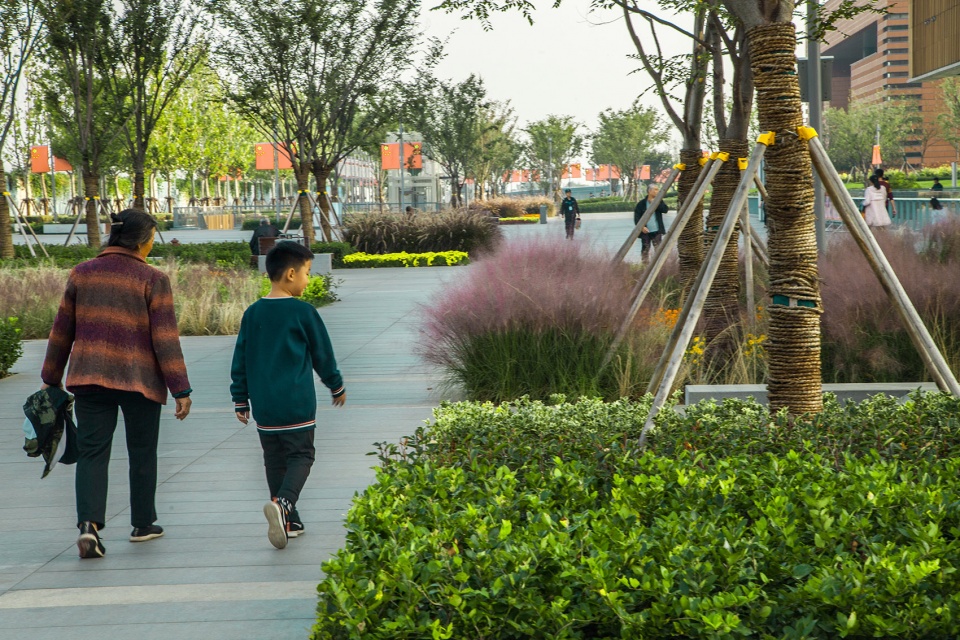 Landscape of Jining Cultural Center Phase I LDG