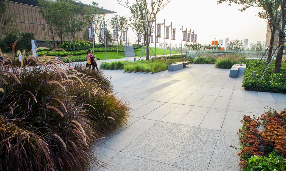 Landscape of Jining Cultural Center Phase I LDG