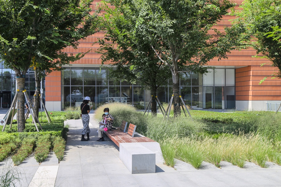 Landscape of Jining Cultural Center Phase I LDG