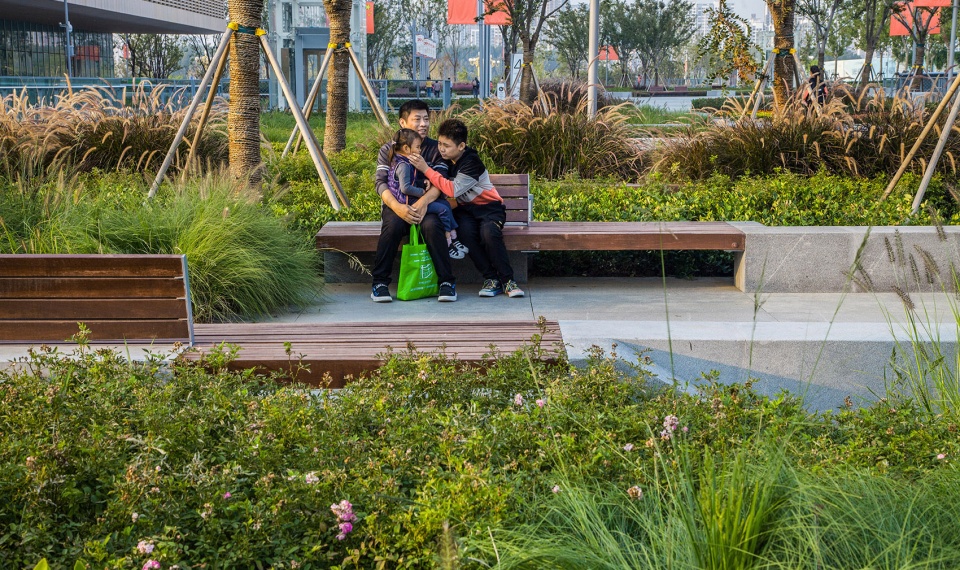 Landscape of Jining Cultural Center Phase I LDG 1