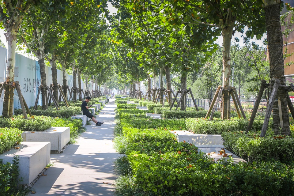 Landscape of Jining Cultural Center Phase I LDG