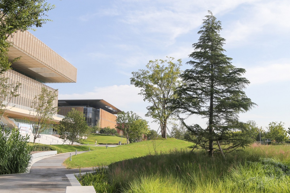 Landscape of Jining Cultural Center Phase I LDG