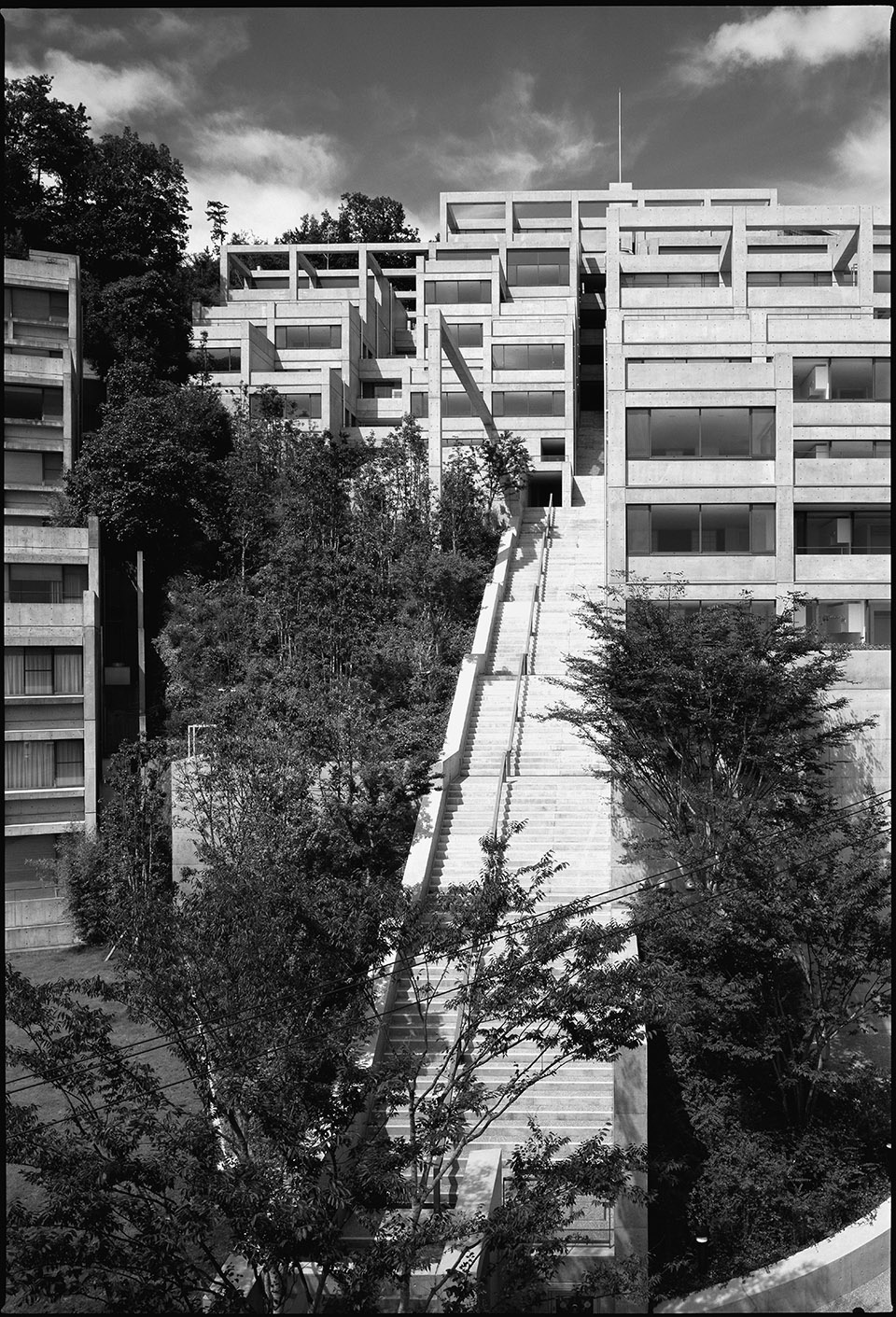 gooood book tadao ando
