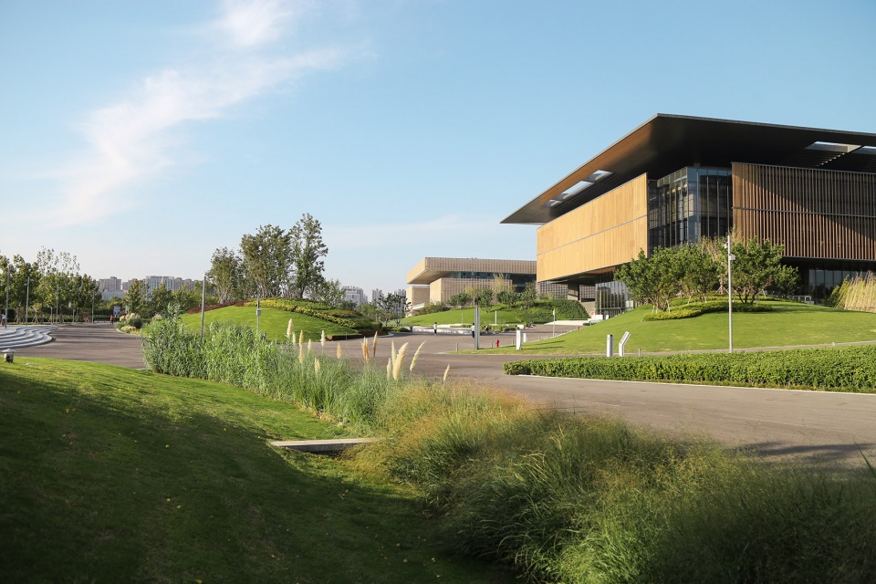 Landscape of Jining Cultural Center Phase I LDG